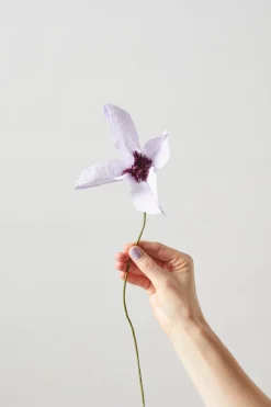 Papirblomst. Clematis, lilla