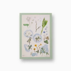 Postkort. Annette W. Schirmer, «Blomsterstudie»